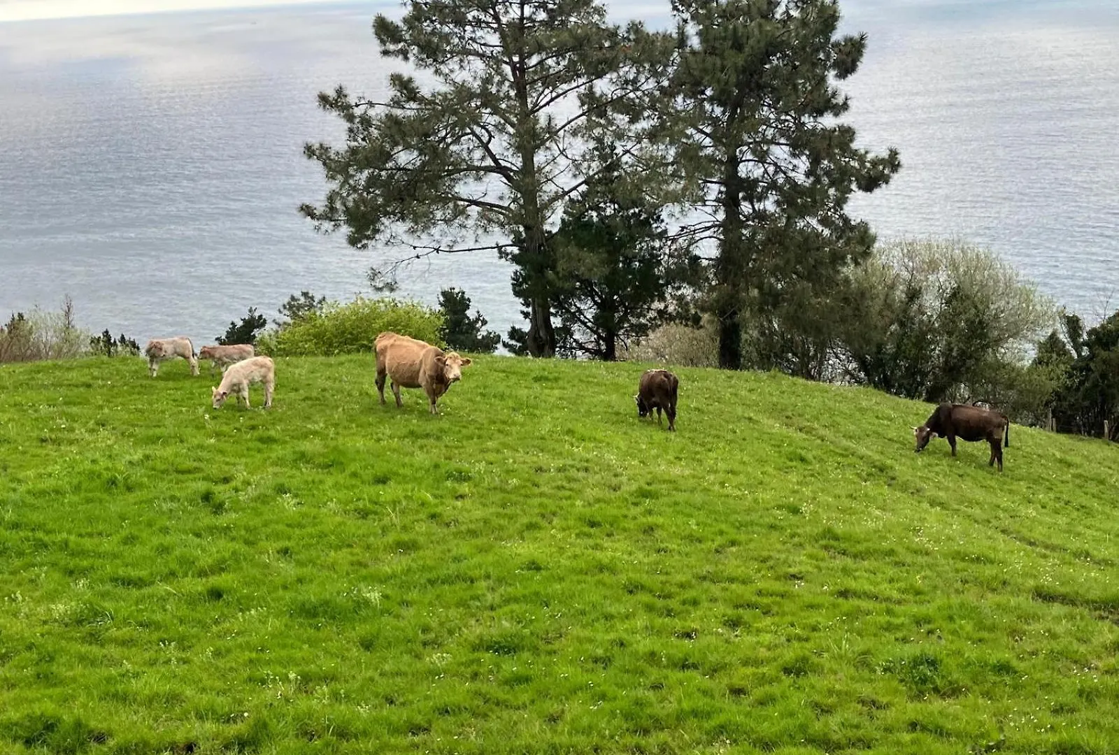 Agroturismo Itxaspe Orio 0*,